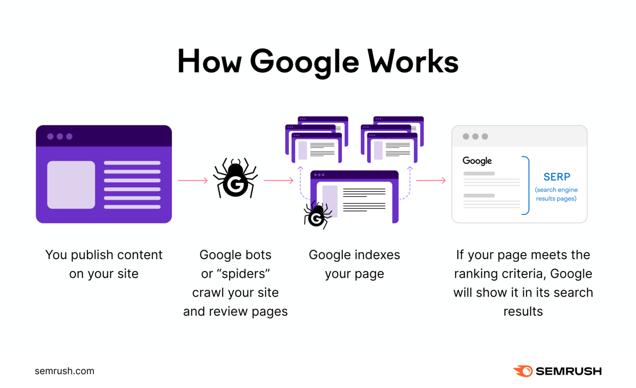 A simple graphic showing how Google crawls and indexes websites.
