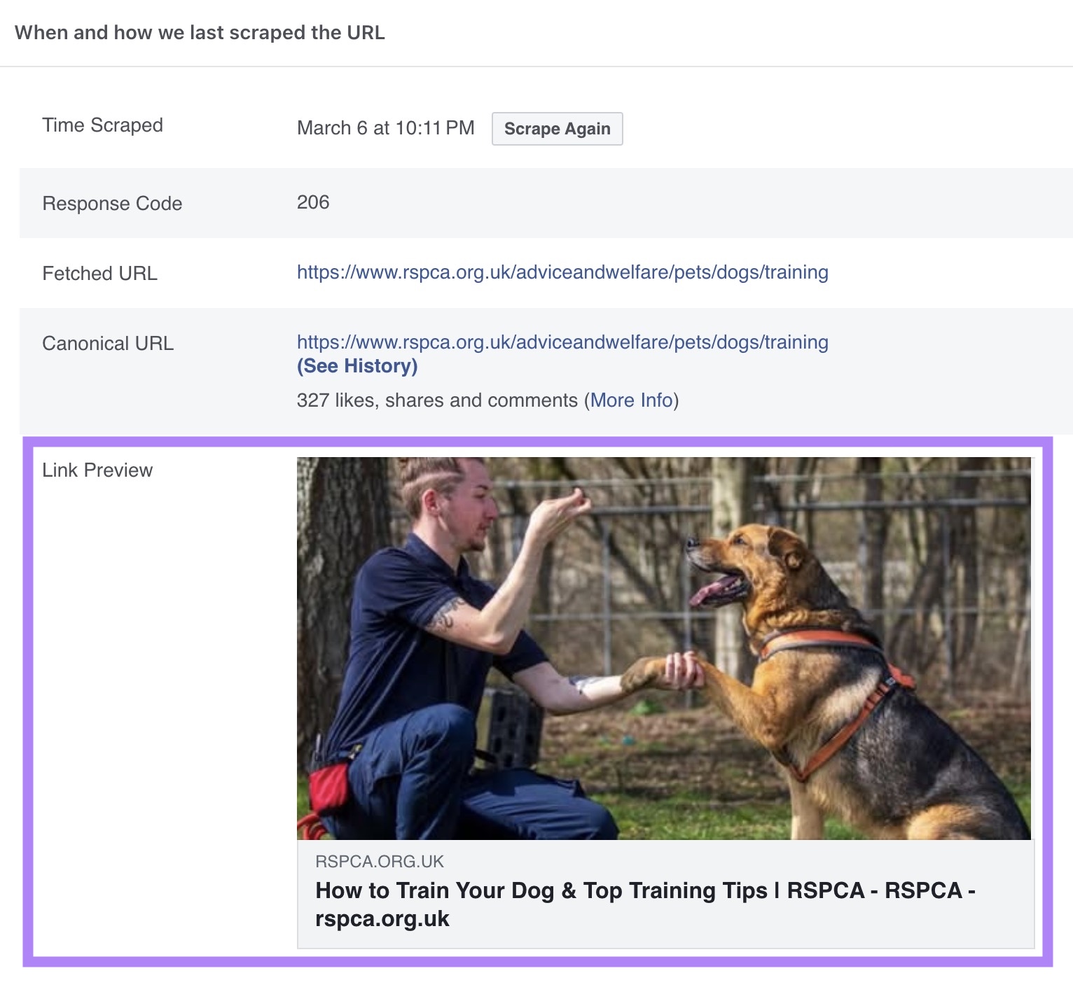 Link preview section on Meta's Sharing Debugger tool showing how a post with a link will appear on Facebook.