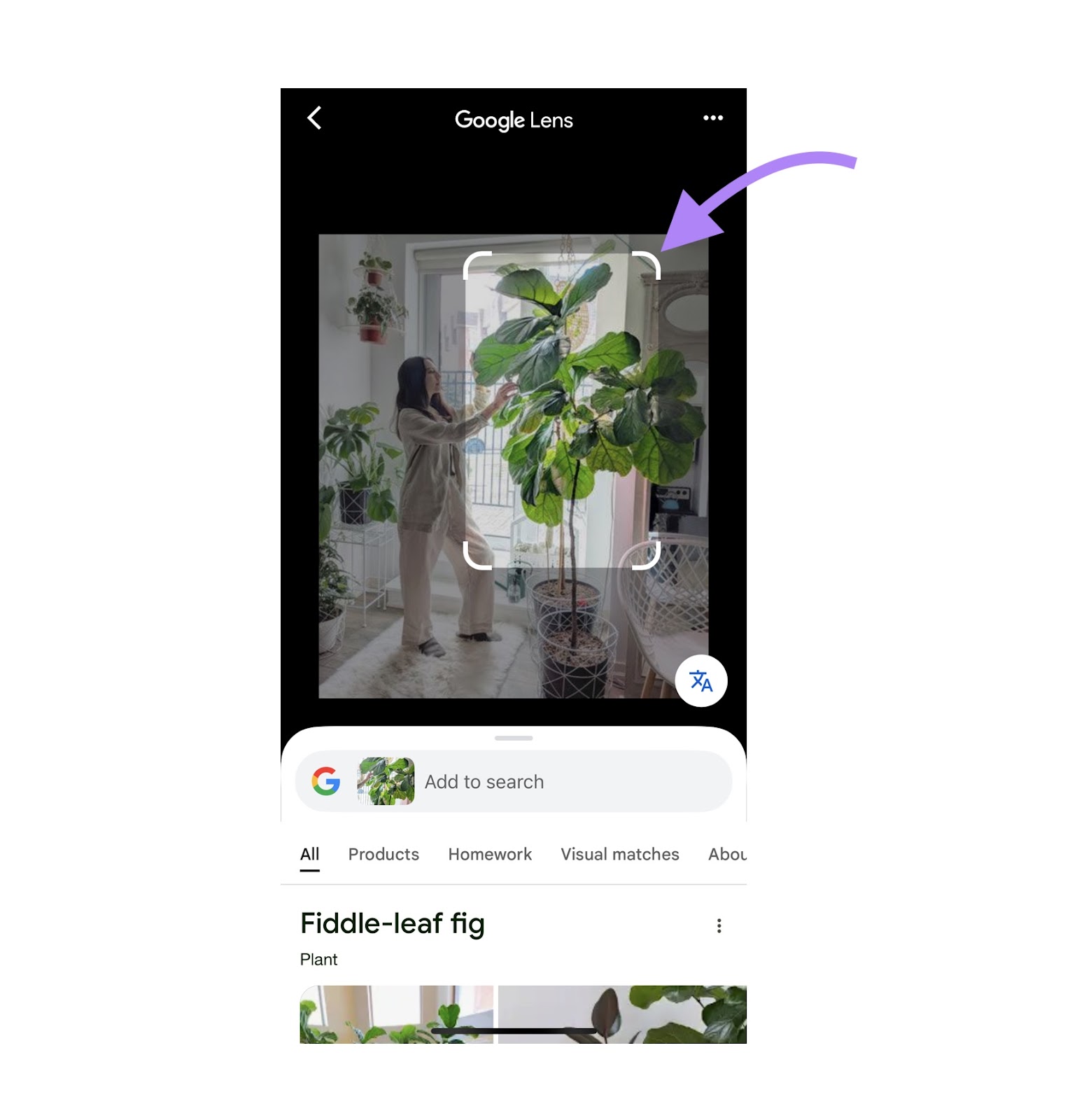 Google Lens interface showing a portion of an image within the crop window along with relevant results below.