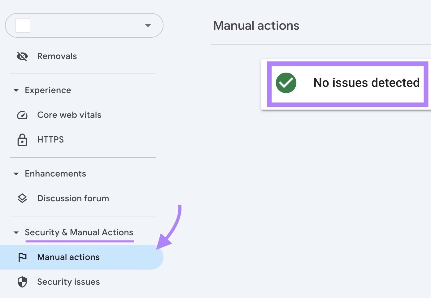 The "No issues detected" message highlighted on the Manual actions page on Google Search Console.